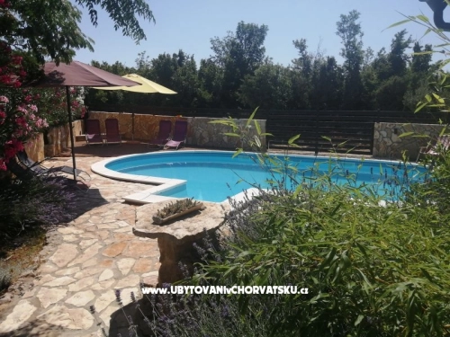 Sunny pool Apartments - Maslenica